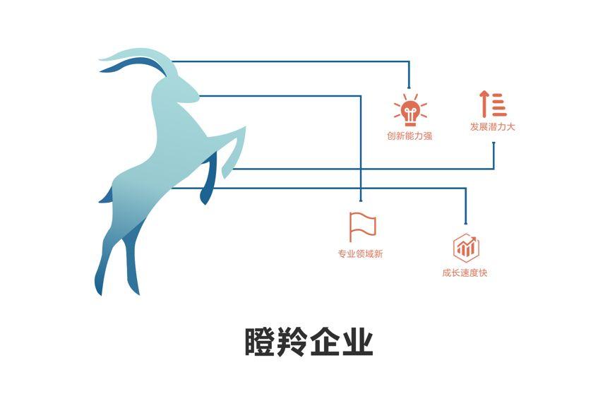 成都高新區(qū)瞪羚企業(yè)認(rèn)定審計(jì)